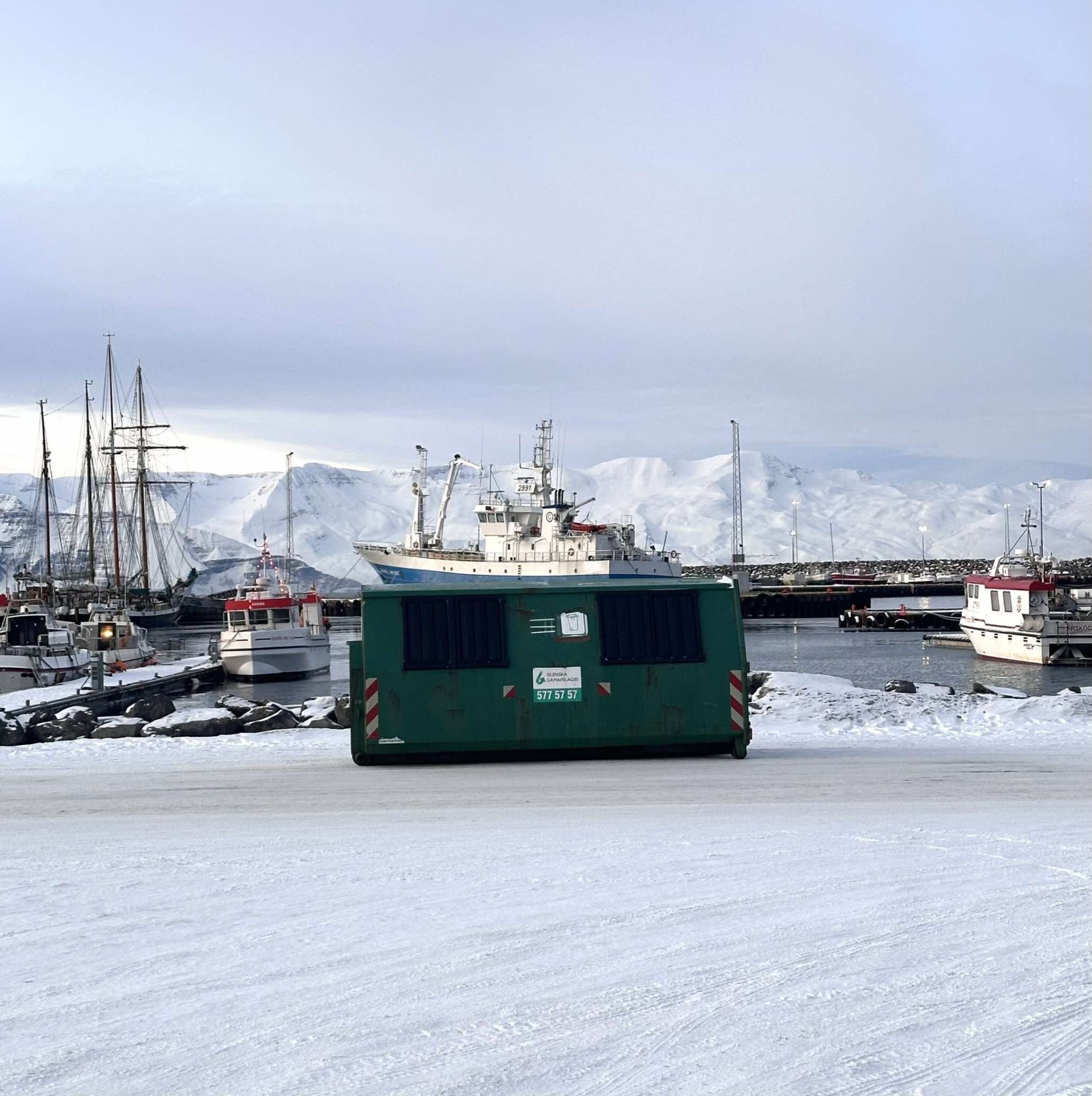 Flugeldarusl og hirðing jólatrjáa